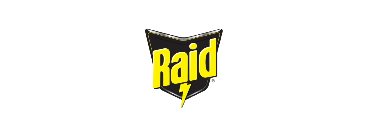 Bis zu 45 % rabatt Raid